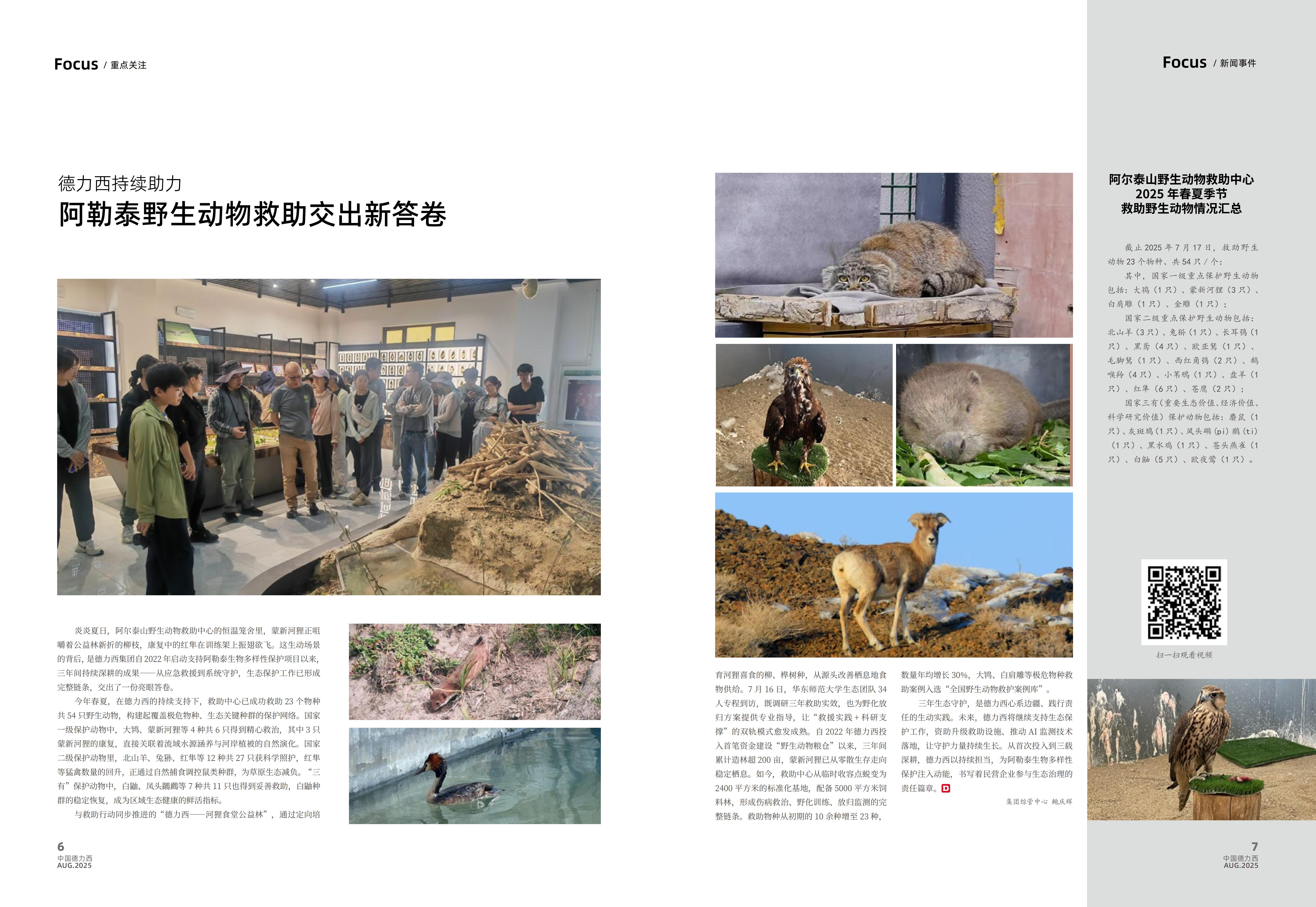 汇赢国际